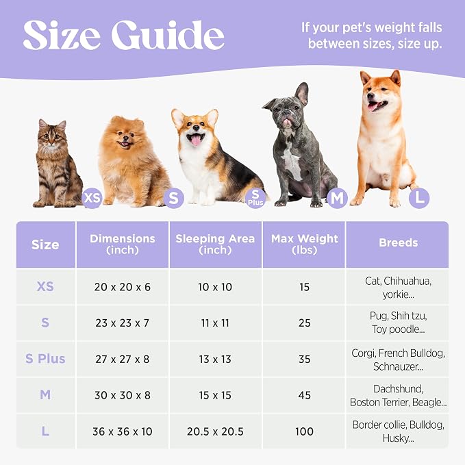 LE SURE Shown on TV Jacquard Donut Cute Small Dog Beds,Pink Taffy 27x27x8in | Orthopedic Calming Cat Sofa Indoor,Original Design Pattern,Washable Cover,Home Decor as Gift for Pet,Anti Slip Bottom