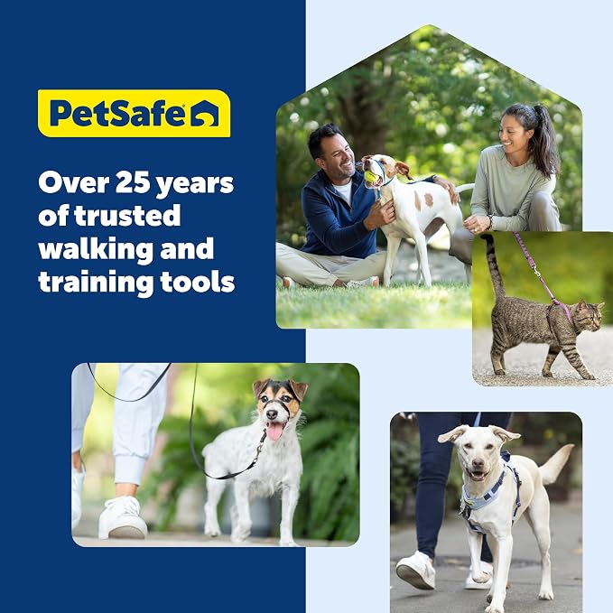 PetSafe Easy Walk Harness, No Pull Dog Harness, Raspberry, Medium/Large | Patented Martingale Loop Gives Gradual Shoulder Pressure to Stop Pulling, Front-Chest Leash Clip Prevents Gagging