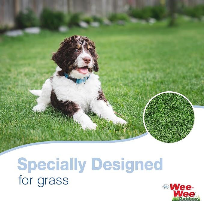 Four Paws Wee-Wee Allen's Spring Action Scooper, Hard Surfaces, Medium | Dog pooper scooper, great for concrete or hard flooring, single-handed use, wide handle for comfortable grip