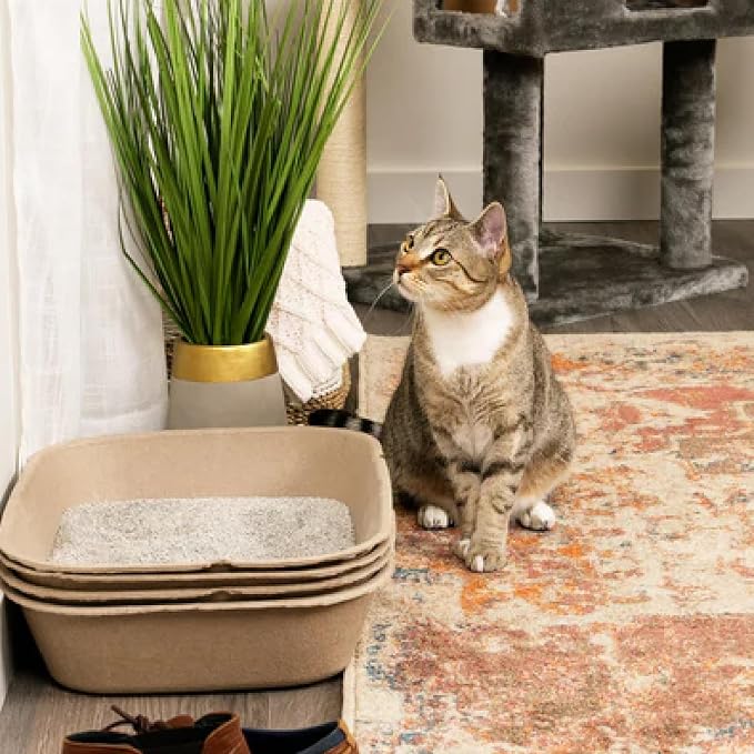 Kitty Sift (Set of 1 Litter Box & 5 Sifting Liners) Disposable Sifting Cat Litter Box Large, 6 Count, Durable and Portable for Travel and Home Odor Control