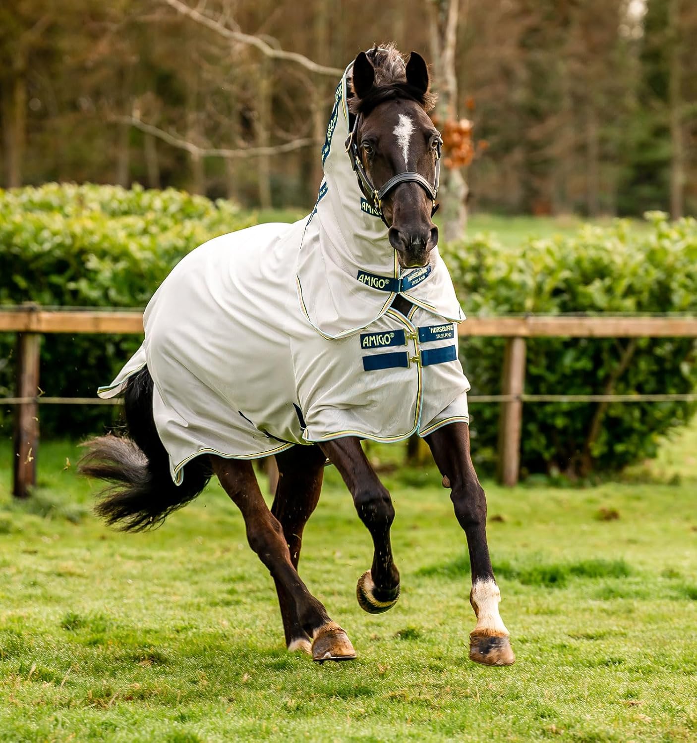 Horseware® Amigo® Bug Rug Fly Sheet (0g Light)