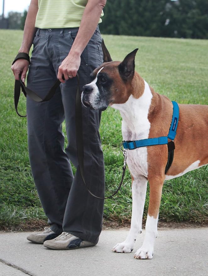 PetSafe Easy Walk Deluxe Dog Harness, No Pull Dog Harness – Perfect for Leash & Harness Training – Stops Pets from Pulling and Choking on Walks – Medium/Large, Ocean