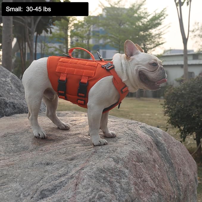 ICEFANG No Pull Tactical Dog Harness for Small Dogs,Adjustable Dog Vest | Control Handle,MOLLE Panel,Front Hook,3 Leash Clips,Soft Padded,for walking training,Orange,Small