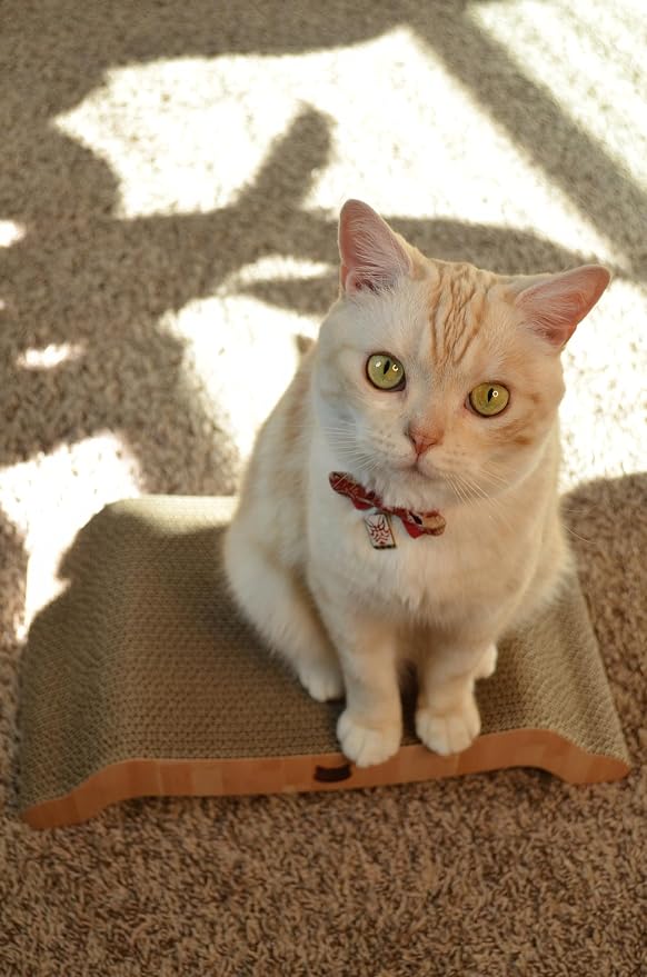 Necoichi Cardboard Cat Scratcher Couch for Indoor Cats - Cat Scratching Board, Horizontal Cat Scratch Pad Lounger with Reversible Usability and Extra Comfort for Lounge, Curved (17" Regular, Oak)