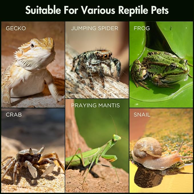 Pre-Assembled Jumping Spider Enclosure, All-Side Ventilation | 3.5"×3.5"×7" Escape-Proof Spider Terrarium Kit with Accessories & Magnetic Door for Tarantula, Mantis, Tweezer & Temp Sticker