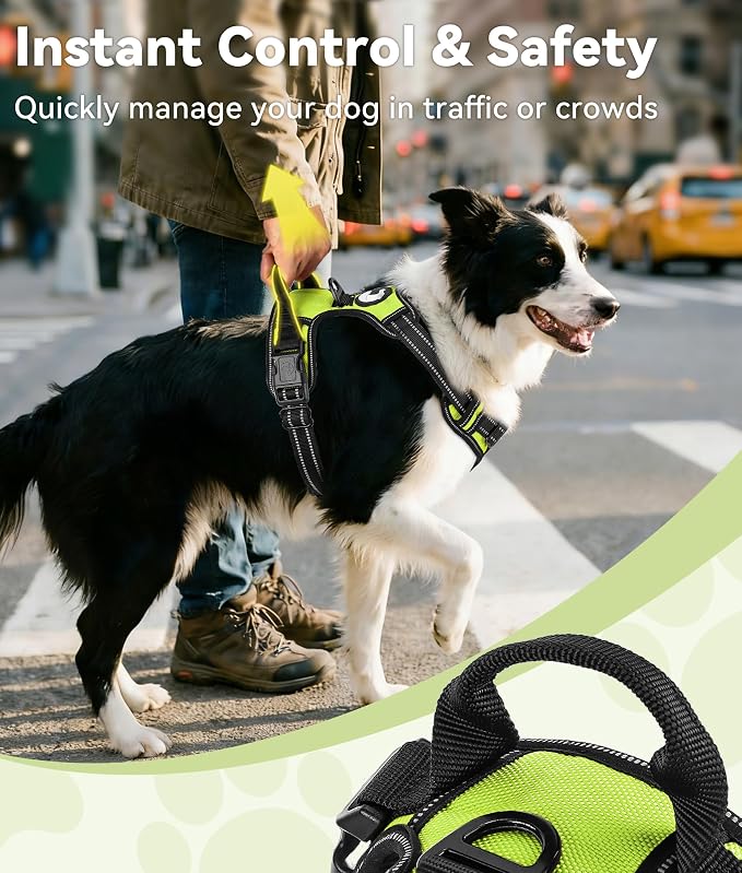 Joytale No Pull Dog Harness for Small Dogs, Front Clip, Green | Grab Handle for Instant Control, Padded & Adjustable Vest, Sturdy Metal D-Rings, for Safe Training & Daily Walking