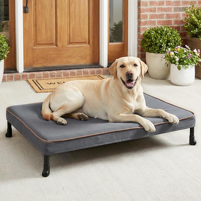 Veehoo Chew Proof Dog Bed, Orthopedic Elevated Dog Bed with Padded Cover | Washable Indestructible Raised Dog Cot for Indoor & Outdoor, Large Dog Bed with Non-Slip Feet, 41" x 27", Dark Grey