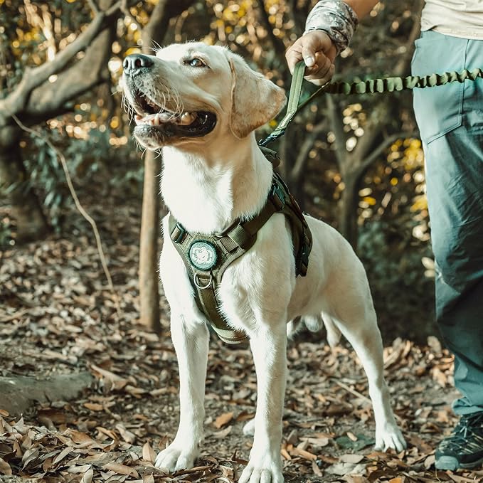 OneTigris Tactical Dog Harness No-Pull Breathable Pet Vest for Small Dogs | Military 1000D Pullable Nylon, Service Dog Vest with Hook & Loop Panels, Easy On & Off for Walking Hiking Training Green S