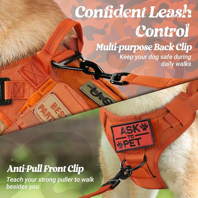 rabbitgoo Tactical Dog Harness for Small, Heavy Duty Military No Pull Vest | Sturdy Metal Buckles, 5 Adjustments, Molle System, Powerful Pullers for Training, Hunting, Outdoor, Orange, Small