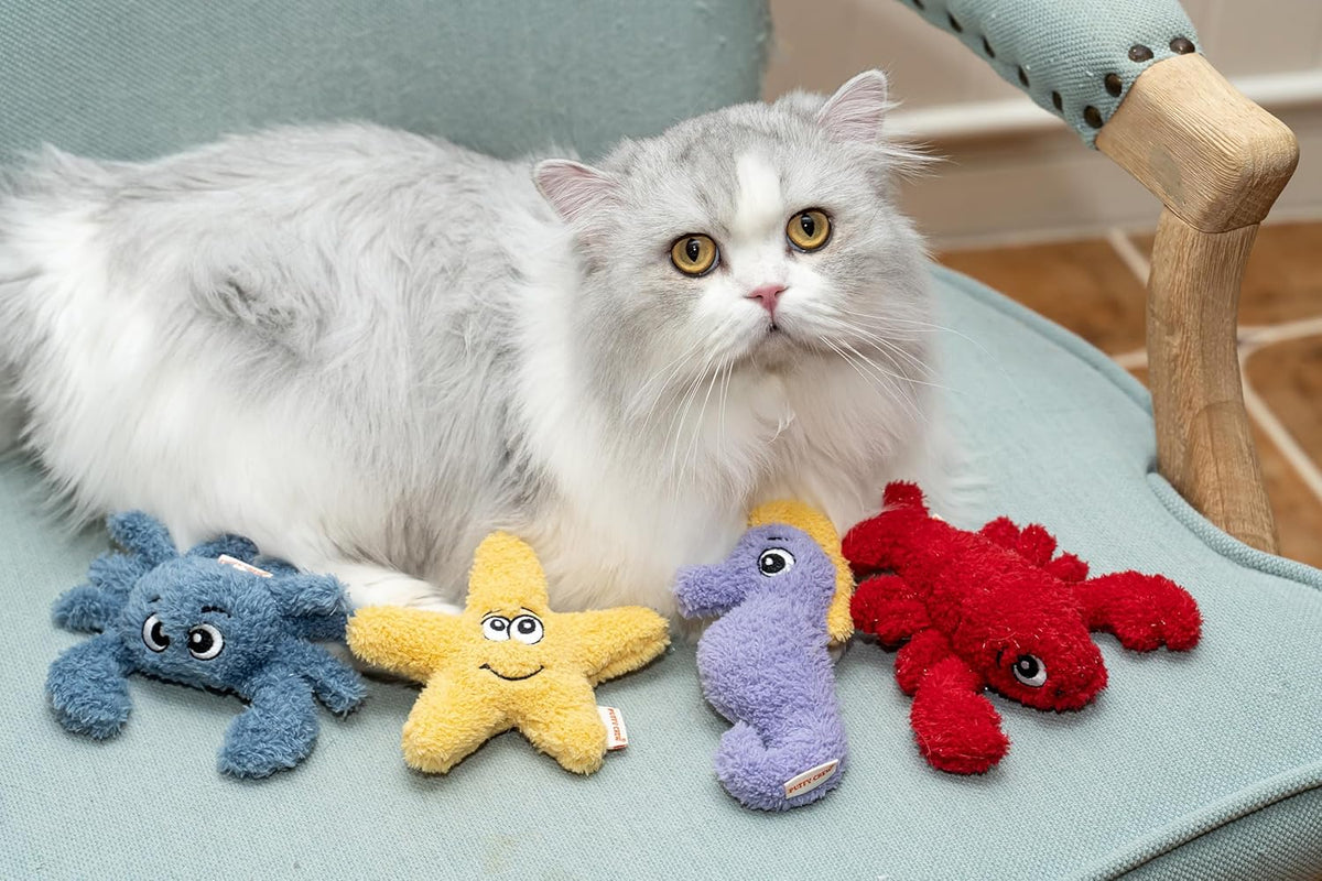 4 Pack Interactive Catnip Cat Plush Toy, Ocean Theme Set, 5'', for All Breed Size Cats (4 in 1)