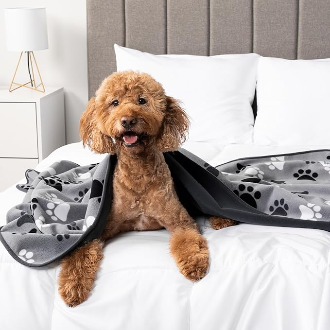 PetAmi Waterproof Dog Blanket for Extra Large Pets Dogs Cats, Large Pet Couch Cover Protector for Furniture, Reversible Washable Soft Fleece Cat Blanket for Bed Couch Sofa, 60x80 (Paw Print Gray)