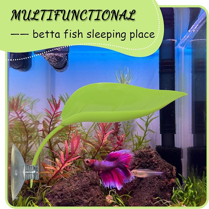 Tree Frog Terrarium Accessories, 3PCS Turtle Basking Platform | Aquarium decor with 3 suction cups, multifunctional reptile tank accessories for leopard gecko, snake, gecko, bearded dragon