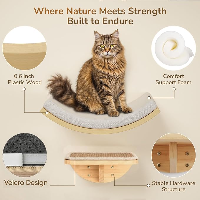 Cat Wall Shelves and Cats Window Perch – Natural Wood 4-Piece Set with Foam-Padded Curved Bed and Felt Steps, Space-Saving Wall Mounted Design