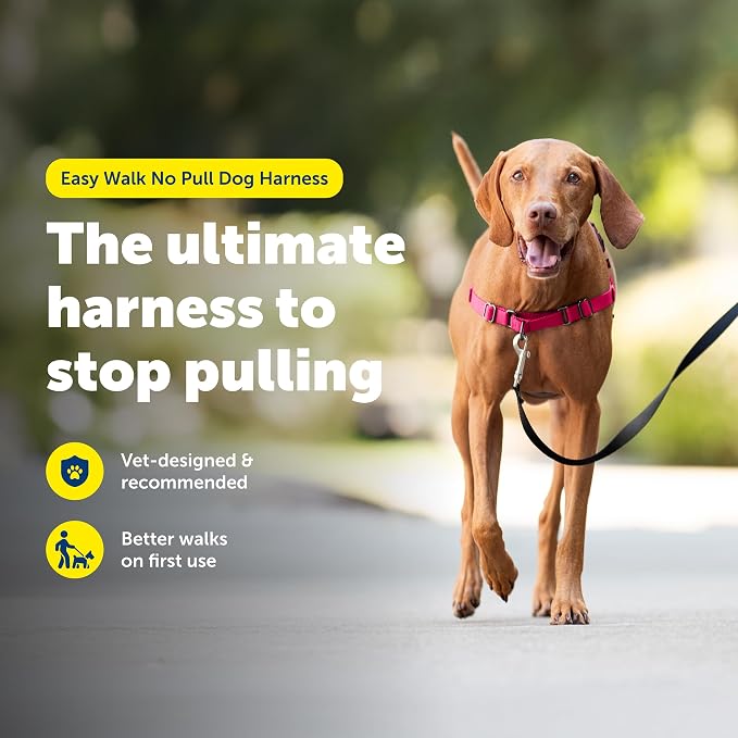 PetSafe Easy Walk Harness, No Pull Dog Harness, Deep Purple, Medium/Large | Patented Martingale Loop Gives Gradual Shoulder Pressure to Stop Pulling, Front-Chest Leash Clip Prevents Gagging