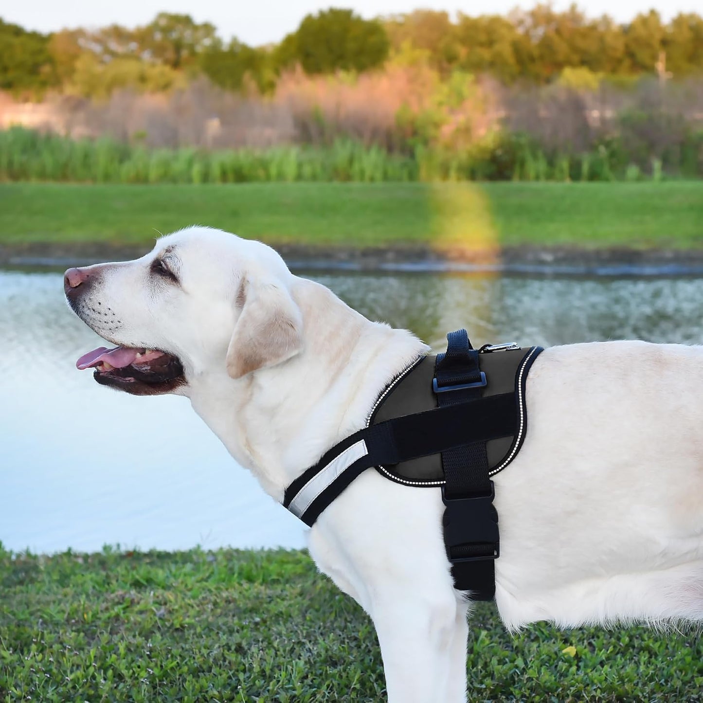 Dogline Dog Harness, Reflective No-Pull Adjustable Vest with Handle for Walking, Training, Breathable, No - Choke Harness for Small, Medium or Large Dogs Room for Patches Girth 22"-28" in Black