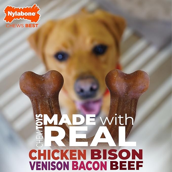 Nylabone Original Bone Strong Chew Toy for Dogs Made with Real Chicken, Durable Dog Chew Bones for Aggressive Chewers, Long-Lasting Flavor Keeps Dogs Busy, Small Dog Toys - Up to 25 lbs, 1 Count