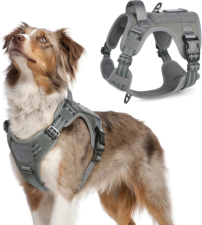 rabbitgoo Tactical Dog Harness for Medium, No Pull Military Service Vest | Molle & Handle, Heavy Duty, Adjustable, Reflective Straps, Easy Control for Training Walking, Grey, Medium