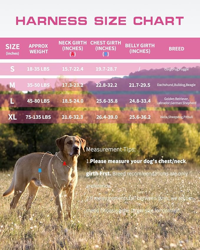 Dog Harness, Tactical No Pull for Small Sized Dog with Handle | Breathable Soft Padded, Adjustable, Reflective, Molle System, Heavy Duty, No Choke for Walking Training, Pink Camo Small