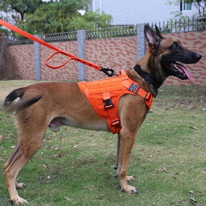 ICEFANG Tactical Dog Harness for X-Large Dogs,Full Metal Buckles Dog Vest | with MOLLE, Reflective,Adjustable,2 Leash Clips,Control Handle,No Pull,Soft Padded,Orange,X-Large