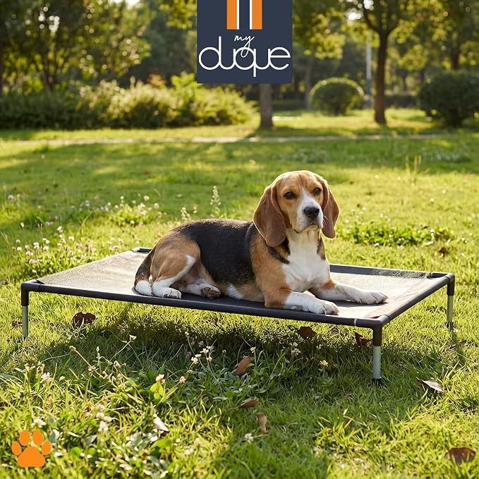 COOLA Pet Bed - Large - Black, 35.5 x 23.5 Dog Lounger, Breathable Mesh Fabric, Elevated Structure for Joints, Steel Frame, Animal 55lb Cap
