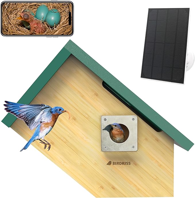 Birdkiss Smart Bird Houses for Outside Solar Powered, 1080P HD Live View Birdhouse with Camera, Perfect Viewing Bird Nesting and Hatching, Ideal Outdoors Bird House for Blue Bird and Cardinal (Green)