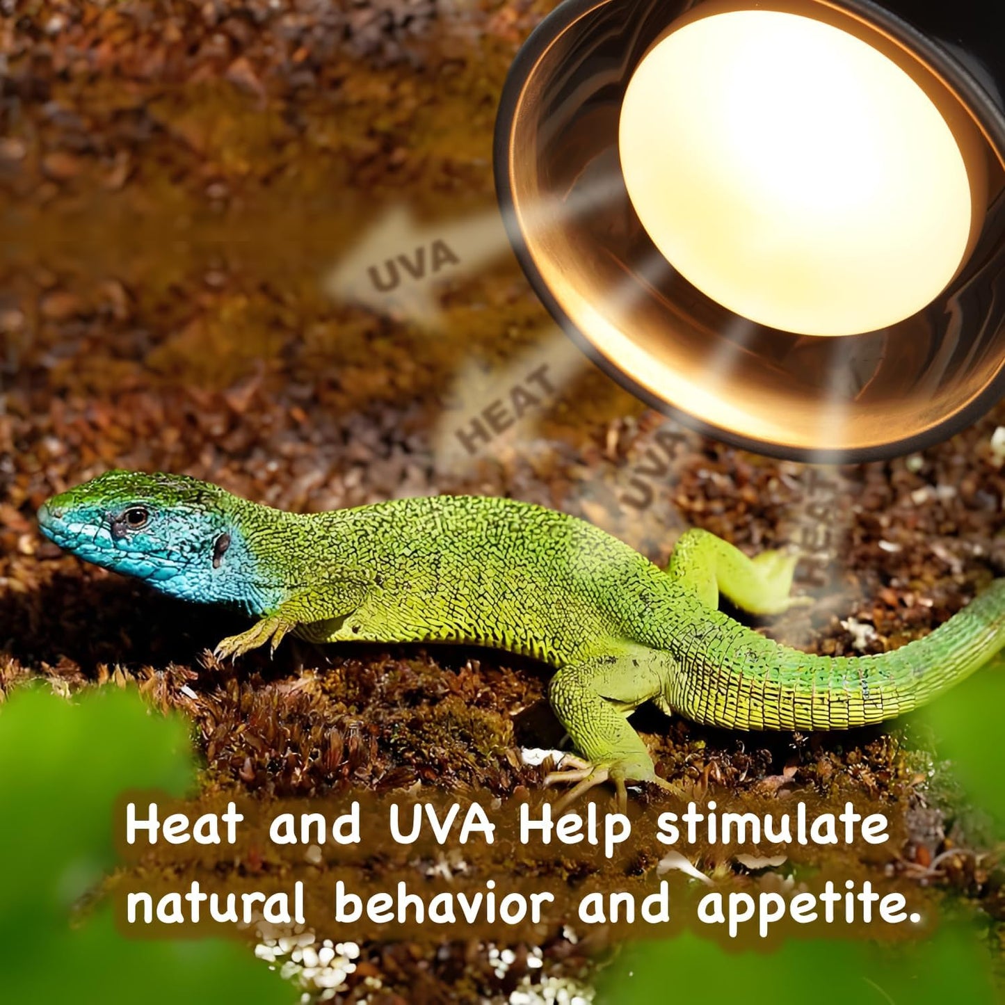 MRREPTILE Reptile Heat Lamp Bulbs, 2-Pack 150W Intense Basking Bulbs, Reptile Basking Lamps, Bearded Dragon Basking Light, Simulated Natural Basking for Reptiles Snakes Lizards Tortoise Heater
