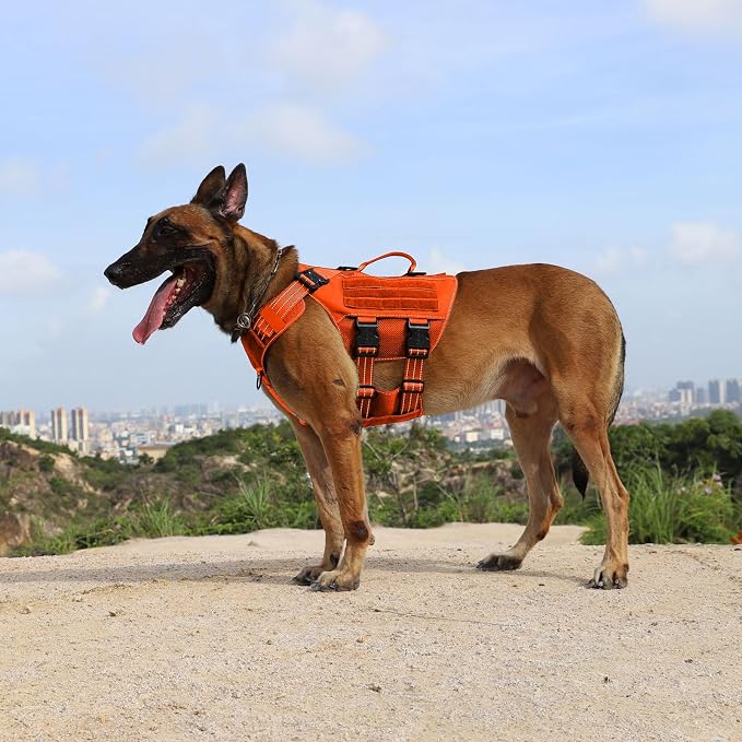 ICEFANG Tactical Mesh Dog Harness for Large Dogs,Reflective Dog Molle Vest | Summer-Cooling, Control Handle,Adjustable,Front Hook,3 Leash Clips,Soft Padded,No Pull,Orange,Large
