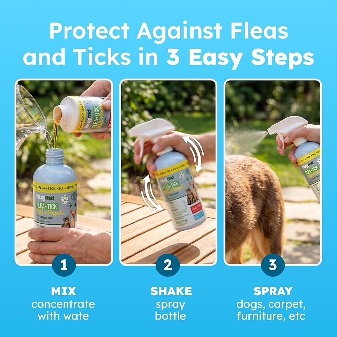 BugMD Flea and Tick Spray for Dogs and Cats – Kills & Repels on Contact – Plant-Powered Flea Treatment for Home, Furniture & Carpet | Makes 32 oz