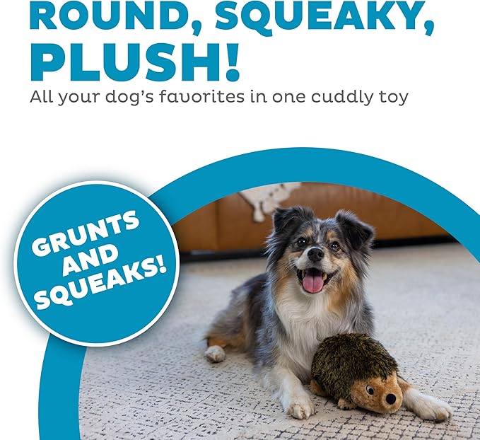 Outward Hound Hedgehogz Stuffed Dog Toy – Soft Plush Hedgehog, Grunts & Squeaks, Medium, 9" x 5" x 6.5"