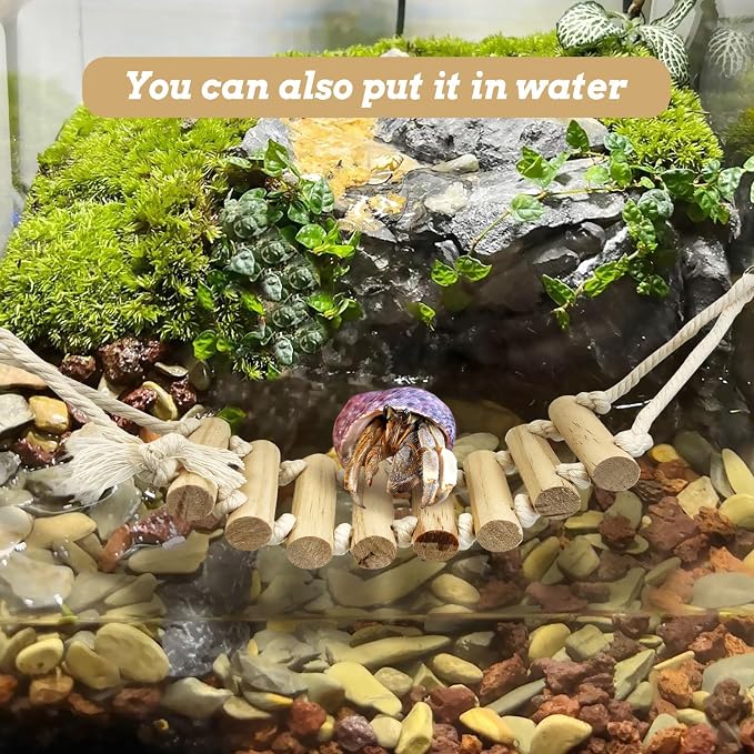 VCEPJH 2pcs Reptile Bridge Leopard Gecko Climbing Ladder Wooden Basking Lounger Reptile Tank Accessories for Hermit Crab Juvenile Bearded Dragon Chameleon Small Lizard Tree Frog and Turtle