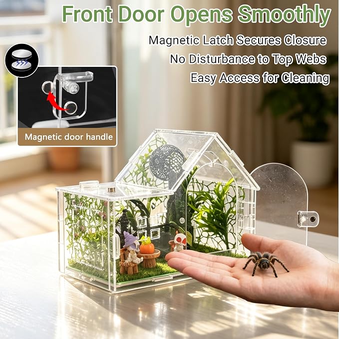 Acrylic Jumping Spider Enclosure Kit 23PCS with Decor | Gothic ornaments, plants, clear view, for mantis & tarantula