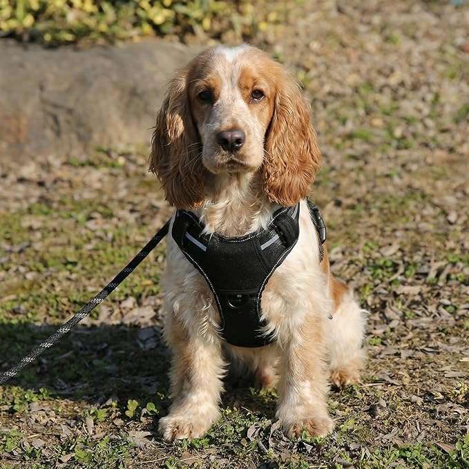 Amazon Basics No-Pull Dog Harness, Adjustable Front Clip, Escape Proof Tactical Vest, Medium, Black