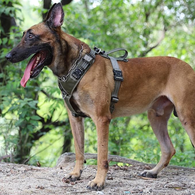 ICEFANG Dog Halter Harness with Metal Buckles,Dog Strap Vest X-Large Dogs | Control Handle,Summer-Cooling,Reflective,Front Hook,Adjustable,Soft Padded,No Pull,Green,XLarge