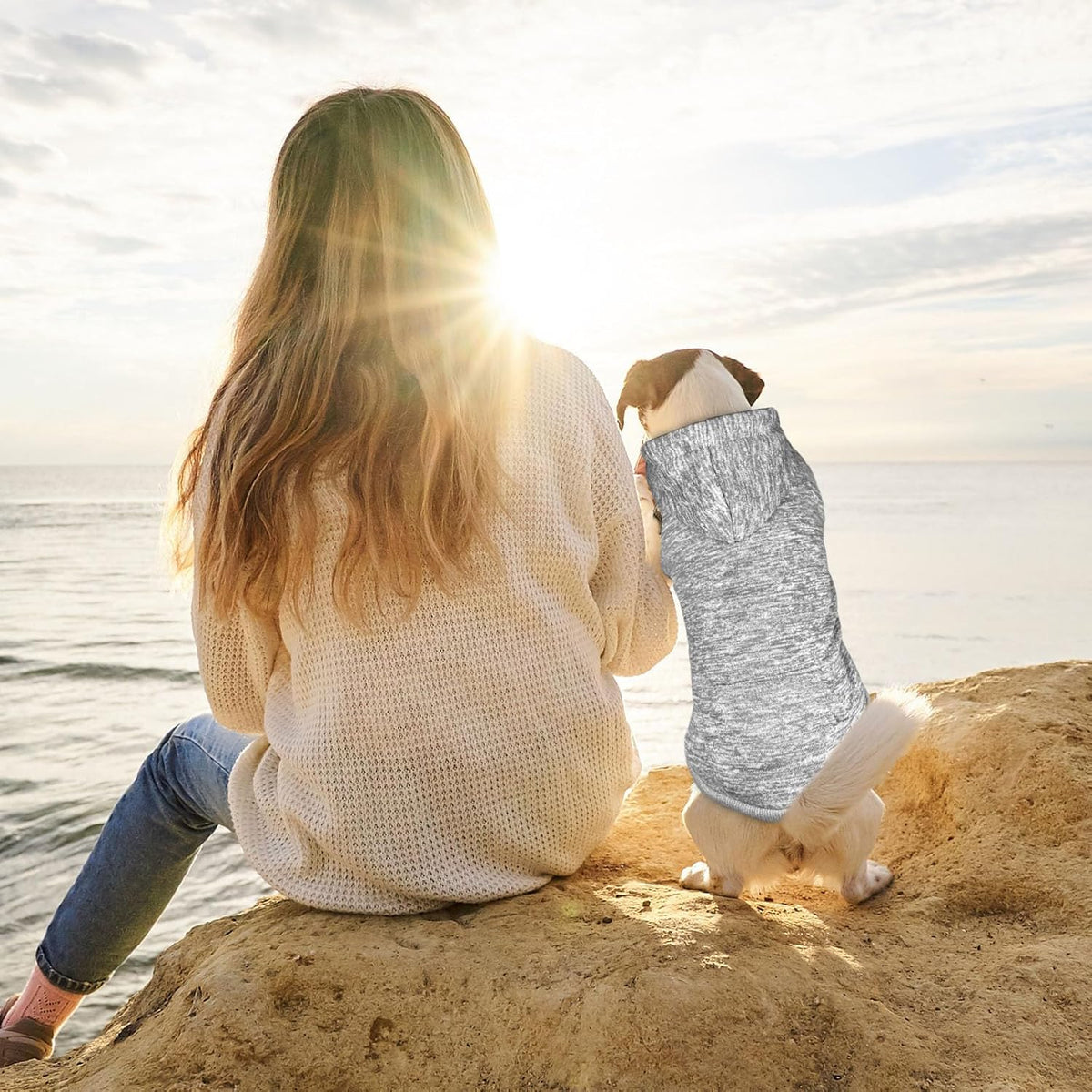 Dog Sweaters for Small Dogs Hoodie Fleece Dog Sweater Soft Clothes Sweatshirt with Pocket Hoodie for Small Dogs Puppy(Grey&S)