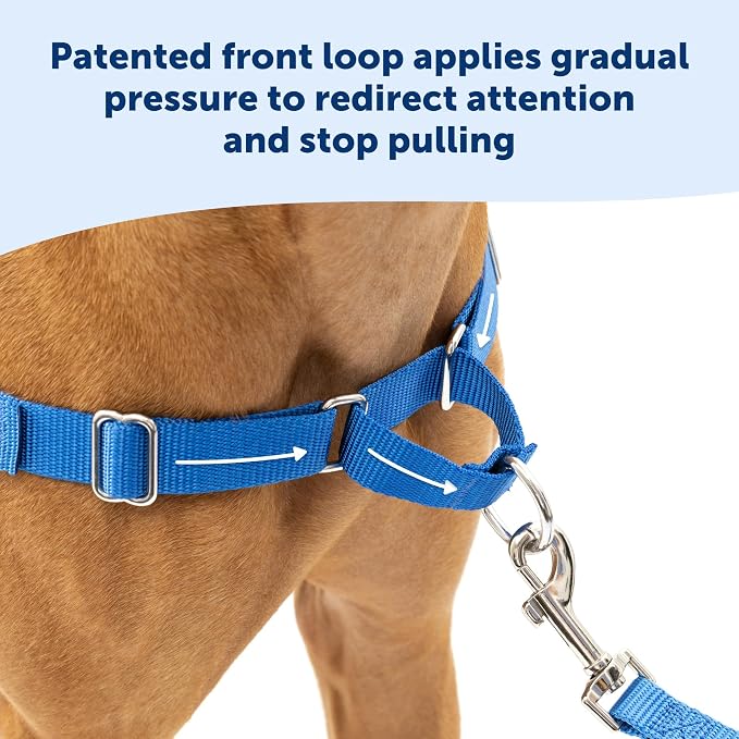 PetSafe Easy Walk Harness for Dogs - Pull-Free Walks - Patented Martingale Loop Design - Front Chest Leash Attachment - Comfort Straps - Breathable Harness Design - Large, Charcoal/Black(Pack of 3)