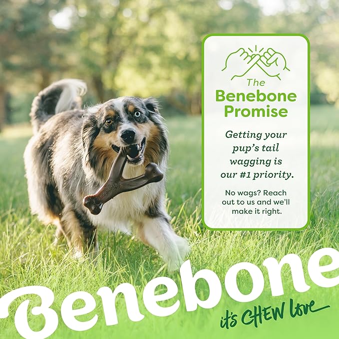 Medium 3-Pack, Benebone Wishbone Durable Dog Chew Toy for Aggressive Chewers, Real Bacon, Chicken, Peanut Butter, Made in USA, Variety Pack