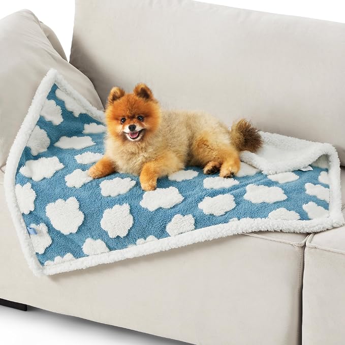 LE SURE Waterproof Dog Blankets for Small Dogs Cute Cozy 3D Jacquard,25x35 | Puppy Blanket for Cat Aesthetic Gift, Warm Soft Sherpa Throw Washable, Reversible Pet Couch Protector, Clouds Blue