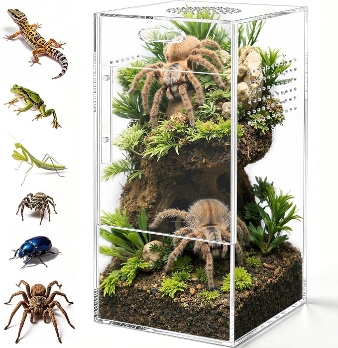 Pre-Assembled Jumping Spider Enclosure, All-Side Ventilation | 5"×5"×10" Escape-Proof Acrylic Habitat Terrarium with Magnetic Door for Jumping Spider, Tarantula, Praying Mantis, Snail