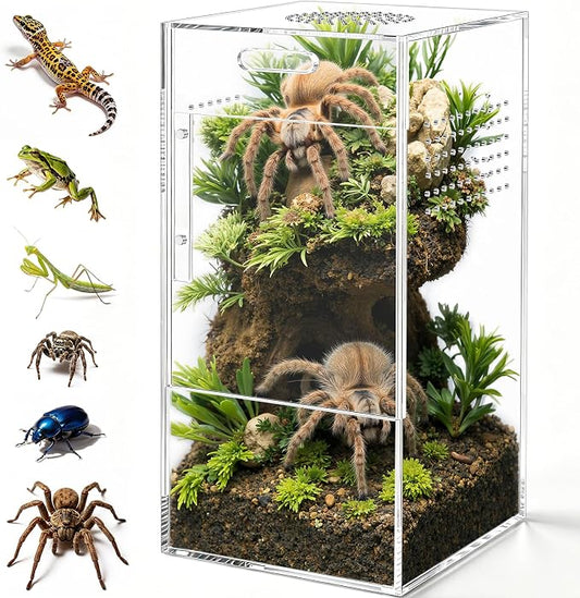 Pre-Assembled Jumping Spider Enclosure, All-Side Ventilation | 5"×5"×10" Escape-Proof Acrylic Habitat Terrarium with Magnetic Door for Jumping Spider, Tarantula, Praying Mantis, Snail