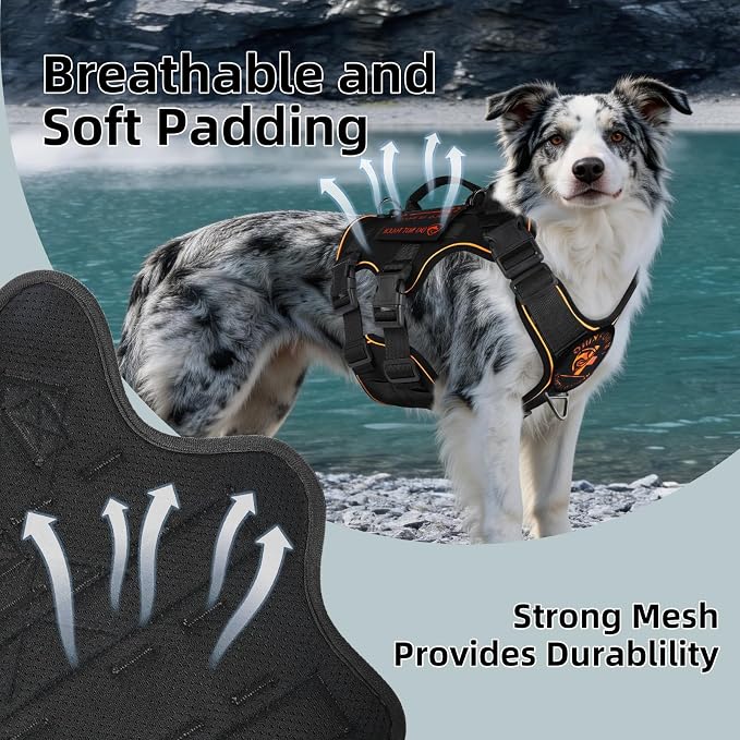 Reflective Tactical Dog Harness with AirTag Holder&3 Pet Patches, Black M | Heavy Duty No Pull Dog Harness, Adjustable Dog Harness, Two Handles, Breathable Mesh Padding, Resists Dirt and Stay Clean