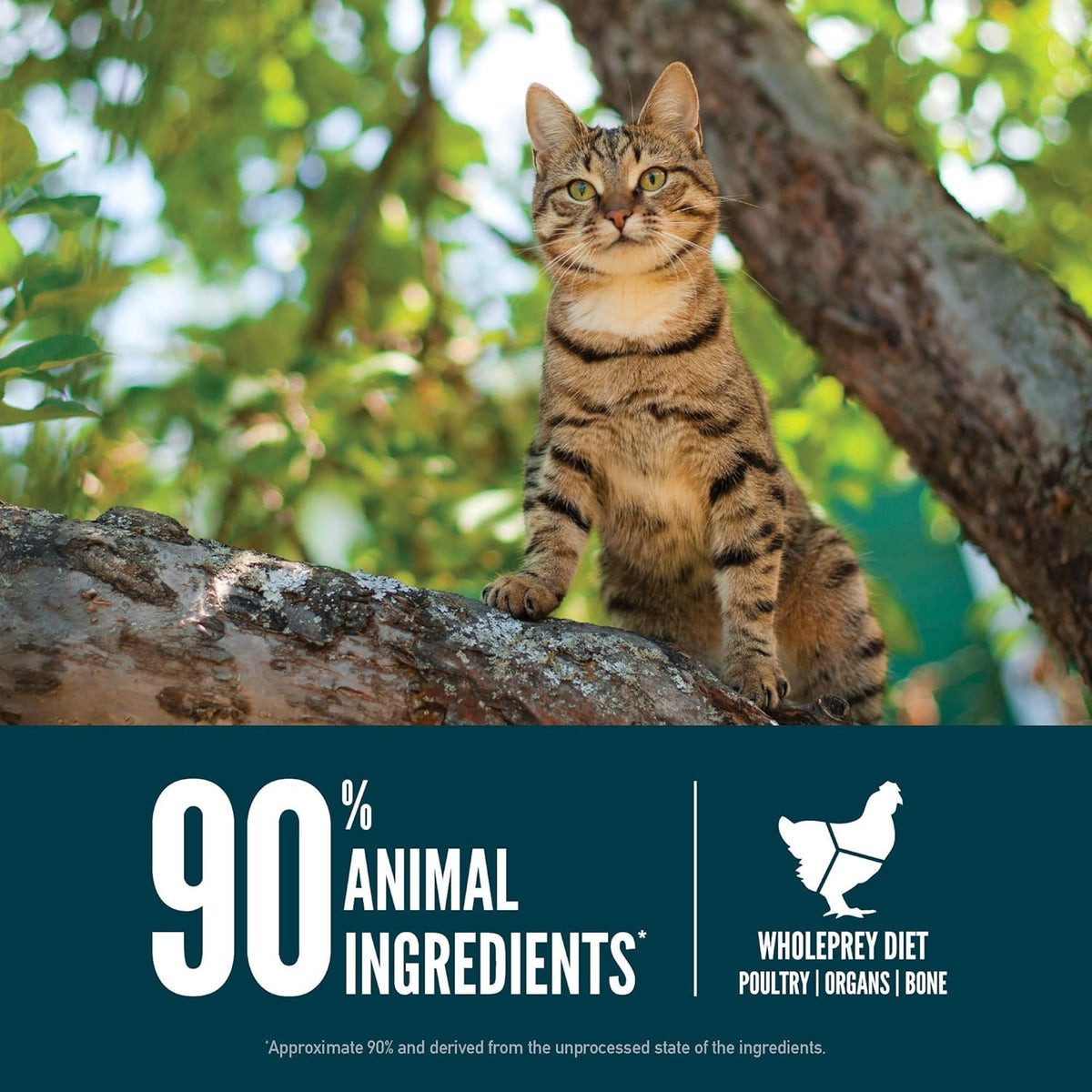 ORIJEN Guardian 8 Grain Free High Protein Premium Dry Cat Food 4lb Bag