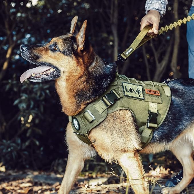 OneTigris Tactical Dog Harness, No-Pull Dog Vest with Leash Clips Green M | Dog Harness Adjustable for Hiking Training Outdoor Military 1000D Pullable Nylon, Service Dog Vest with Hook & Loop Panels