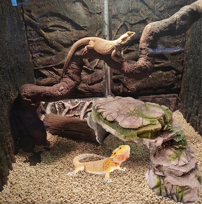 kathson Turtle Basking Platform Resin Bearded Dragon Hides and Caves with Ramp Reptile Resting Terrace Turtle Tank Decorations for Frogs,Tortoise,Lizard,Leopard,Crested Gecko