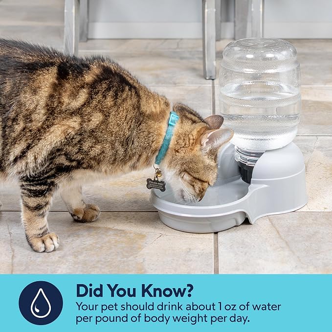 Aspen Pet Lebistro Cat and Dog Water Dispenser, Made in USA