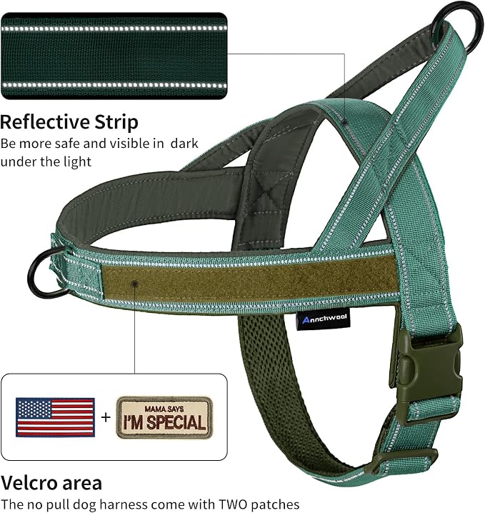 Annchwool No Pull Dog Harness with Padded Handle+5 Ft Leash,Reflective Strip Escape Proof and Quick Fit to Adjust Dog Harness,Easy for Training Walking for Small & Medium and Large Dogs(Green-Set,XL)