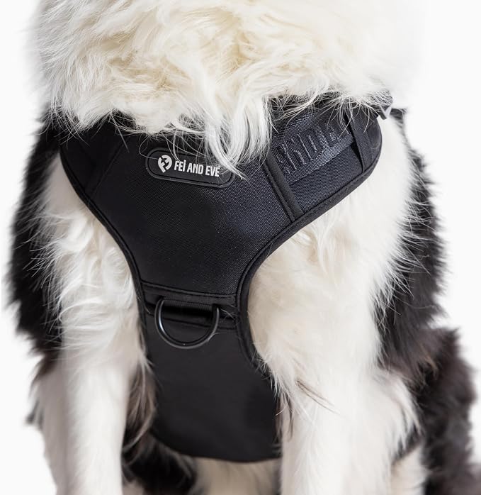 Fei & Eve Classic Dog Harness, MagEase Magnetic Buckle | 3-Point No-Pull Control, Dual Handle Support, 900D Nylon, Tactical Patch Panel, Heavy Duty, Medium, Black