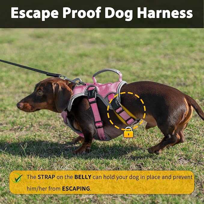 Escape Proof Dog Harness, Dachshund Harness, Reflective Dog Harness with Handle, Durable,Adjustable Vest for Small Medium Large Dogs Walking, Training, and Running Gear (Pink,L)