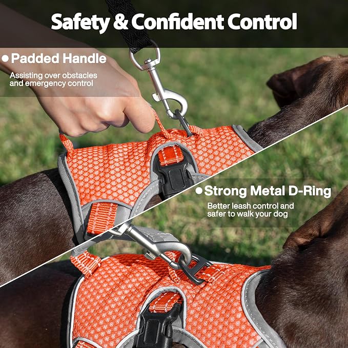 Escape Proof Dog Harness, Dachshund Harness, Reflective Dog Harness with Handle, Durable,Adjustable Vest for Small Medium Large Dogs Walking, Training, and Running Gear (Orange,S)