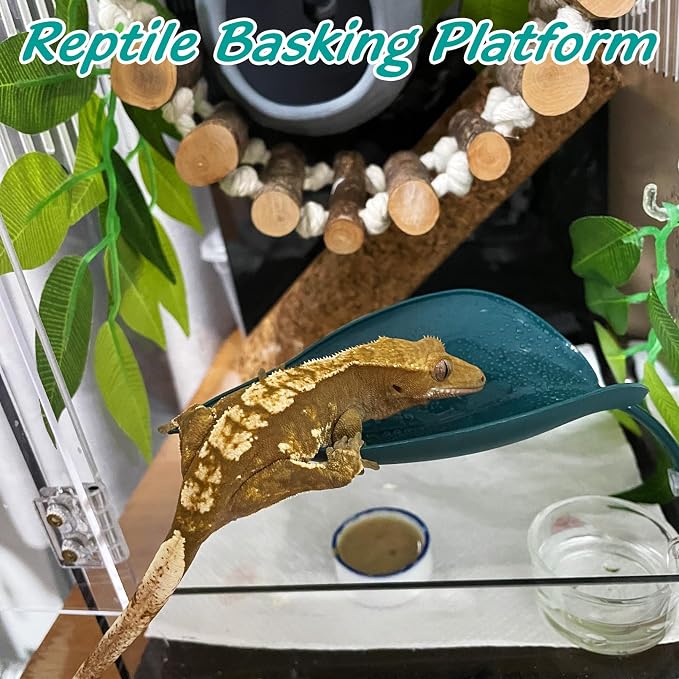 6 Pack Plastic Frog Habitat Platform with Suction Cups Reptile Decorations for Terrarium Dwarf Frogs Tank Accessories Decor Turtle Basking Platforms for Amphibian