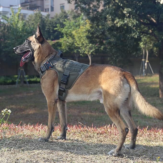 ICEFANG Tactical Dog Harness,for X-Large Dogs,Reflective No Pull Dog Vest | with Control Handle, Adjustable,Front Hook,2 Leash Clips,No Choke,Soft Padded,MOLLE Panel,Green,X-Large